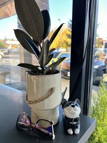 Cha and Coffee Stop - Interior View