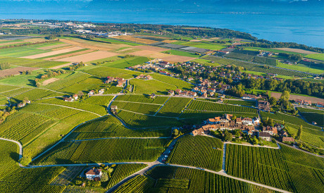 rolling green vineyards and farm land overlooking a deep blue lake