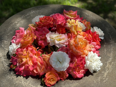 a concrete bird bath filled with white, pink and orange roses