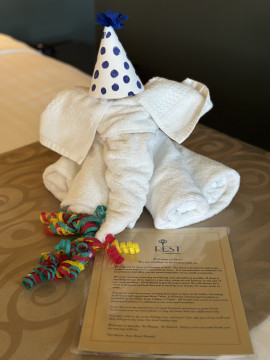 towel elephant with party hat