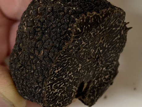 black truffle