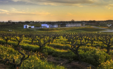 View of Andis Vineyards and Tasting room