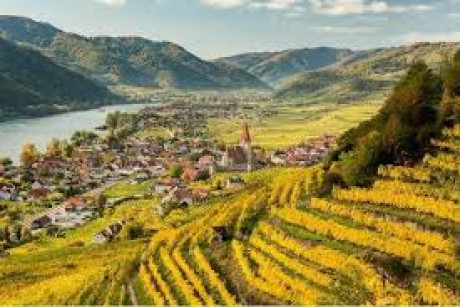 Austrian Wine Region