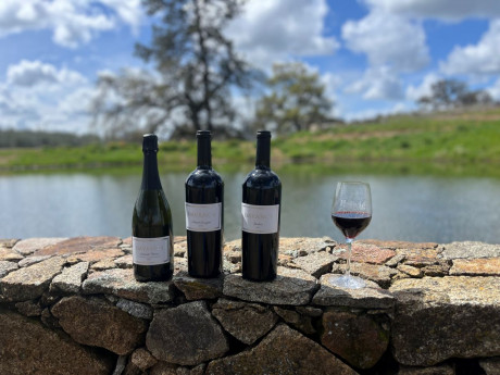 bottles of wine on a stone wall overlooking a body of water and oak tree
