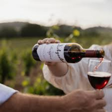 pouring red wine into a glass in the vineyard