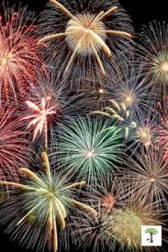 multi color fireworks at night