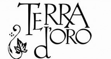 terra d' oro logo